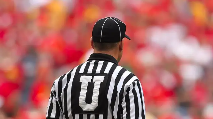 football official watching game